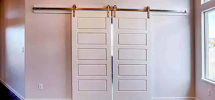 Glass Barn Door with Installation Hardware Kit Marina