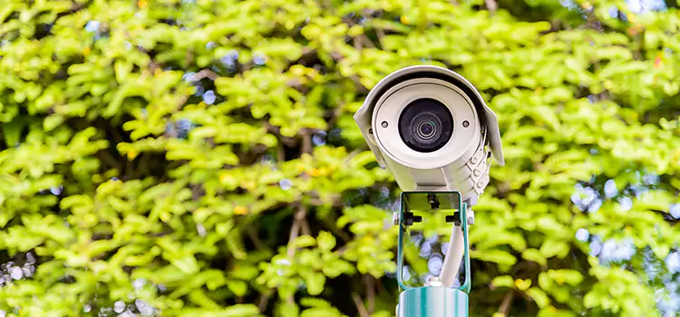 Advanced Surveillance Solutions for Every Need in Marina