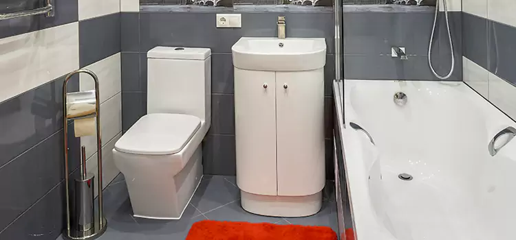 Hansgrohe Shaving Mirror Marina